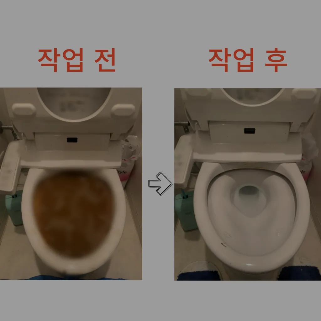 변기막힘